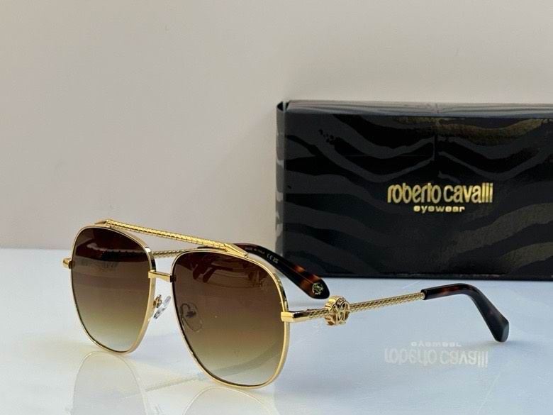 Roberto Cavalli Glasses (10)